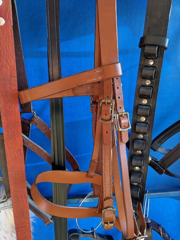 Equestrian & Saddlery