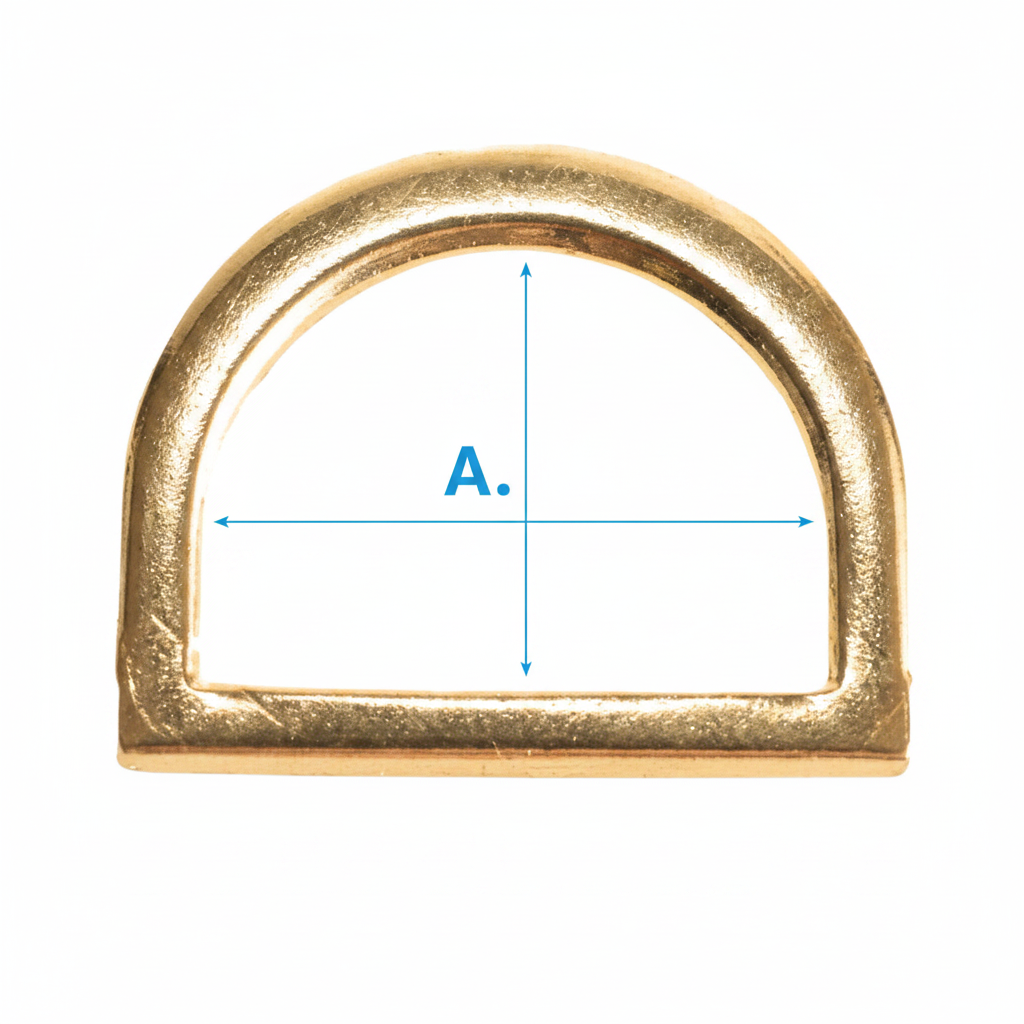 Brass D-Ring Dimensions 1:1
