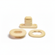 Cream plastic snap fastener components on white background